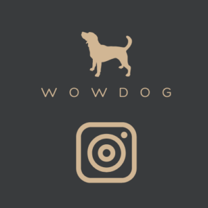 wowdog instagram link