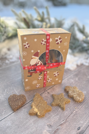 Christmas Dog Treat Selection Box